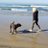drbeachgirl07's profile image