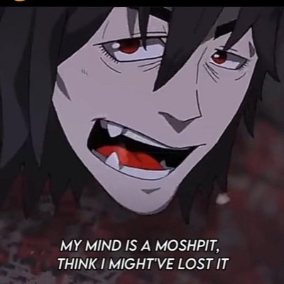 laz Profile