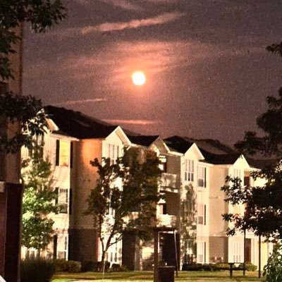 harystrikes1984's profile picture. Simple Living