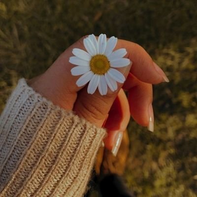 alkhen_nada's profile picture. 