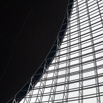 DiasparoCSW's profile picture. 