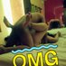 #Single_JovenMTY ⛰️⛰️🌄 (@singlemtty0) Twitter profile photo #Single_JovenMTY ⛰️⛰️🌄 (@singlemtty0) Twitter profile photo