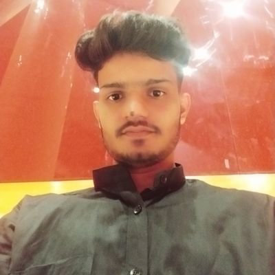 PS_8154's profile picture. A passionate software engineering student @IIITUna