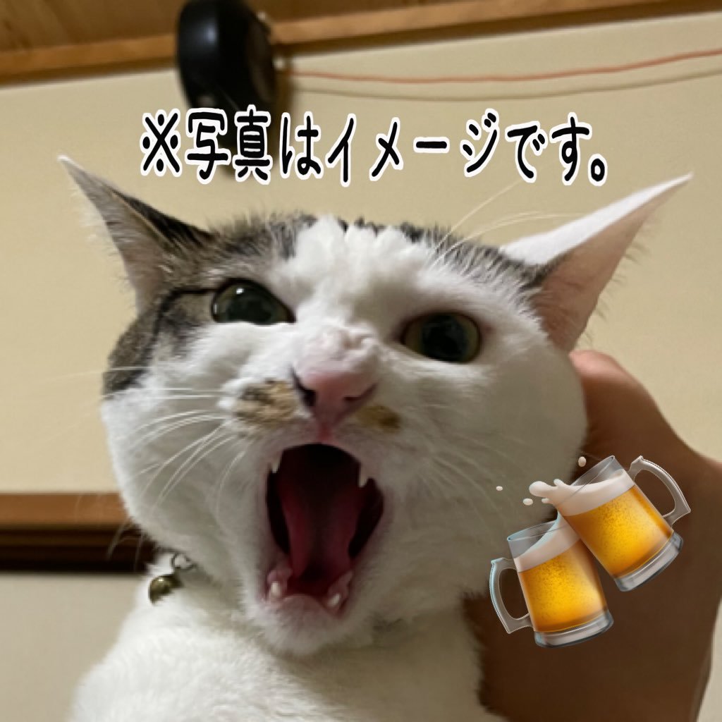 酒クズさん🤤 🐱すみれさん・🐱あんずさん たまごネキ(たまごは辛口評価、だって大好きだもの。)🍜ねこご飯テロ多し🫡