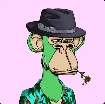 jiumshy's profile picture. work hard