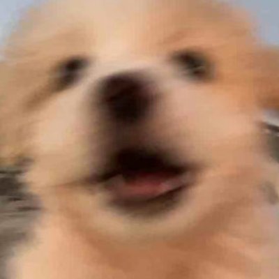 FeifeiZ90660's profile picture. AIGC!!