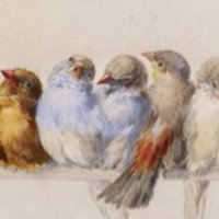 Johan Oosterman (@johanoosterman) 's Twitter Profile Photo Johan Oosterman (@johanoosterman) 's Twitter Profile Photo