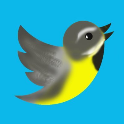 鳥見アカウント　（鳥素人＋証拠写真）結構ツイ消しするよ。●ツイートの全然ないアカウントはブロック　●営巣写真アカウントもブロック　●若い女の写真アイコンアカウントもブロック、あ、でも面白いから観察しようかいな