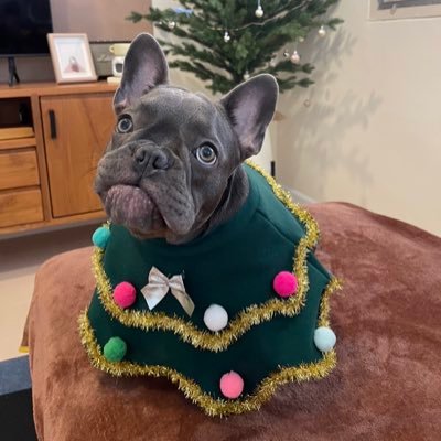 NNutta_s's profile picture. PERFECT is Boring 😬//Into the night with me?//บ่นไปเรื่อยๆ//‘you don't have to be perfect to be loved’//ไอ้ต้าวเวนดี้ในใจคุณ