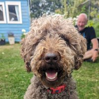 Graham Wallis ⭐️⭐️ (@graham91960) 's Twitter Profile Photo