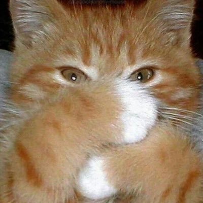 vanelpon's profile picture. 