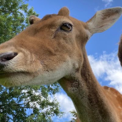 Tdjb09's profile picture. 