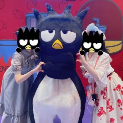 suteitei's profile picture. 