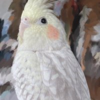 オカメインコさま専用ページ XMWNmiGI_200x200.jpg