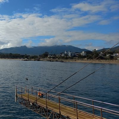 AnyVC749228's profile picture. 