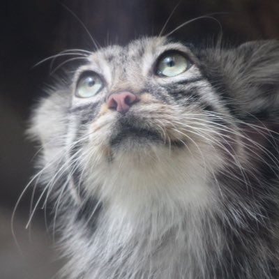 ‘02(21) 観光牧場の飼育員🐾動物と音楽で生きてる！！