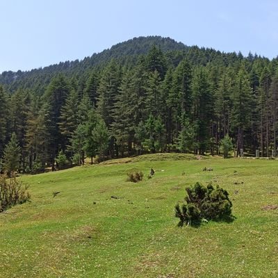 deepak_sudan20's profile picture. 