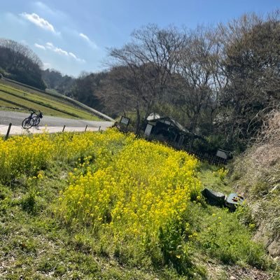 雑多垢 /ヘッダー作ってくれた神→@sirani12_05_02/兄者→ @Kaito_27robe /切るならブロ解