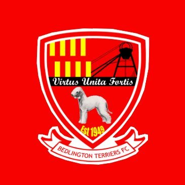 BTFCOfficial Profile Picture