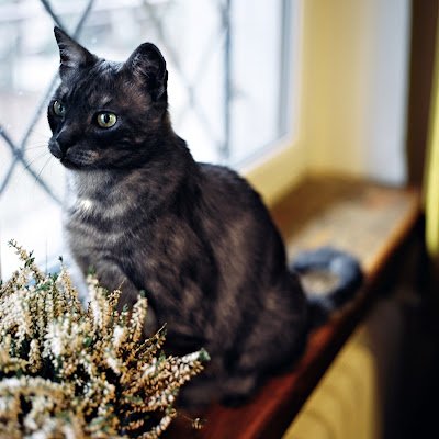 zbignus_arrow's profile picture. 