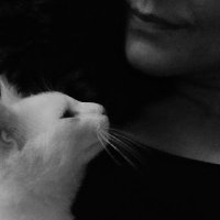 lale kartal (@naneliseker3453) 's Twitter Profile