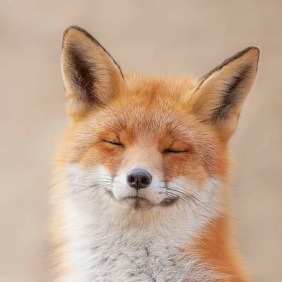 Bjuder276348's profile picture. 电报@iiinsg

Another Fresh new base updated 100% Now