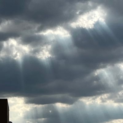 akane_sukisuki's profile picture. 