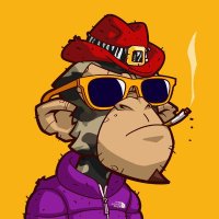 Dani (@gr8dash) 's Twitter Profile