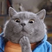 Yamurr ama Alles Gute (@morhanimm) 's Twitter Profile