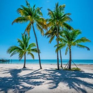 brzjanz's profile picture. Make yourself H a P p Y.