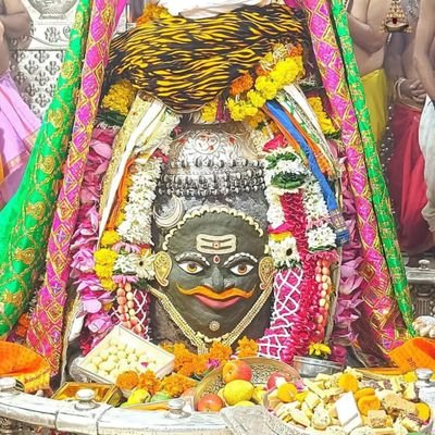 vinodpa50835607's profile picture. 