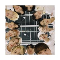 いか🦑 (@seventeen_2311) Twitter profile photo