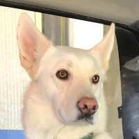 Janelle Clodfelter (@felterjc) 's Twitter Profile Photo Janelle Clodfelter (@felterjc) 's Twitter Profile Photo