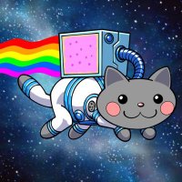 NYAN Meme Coin (@nyanmemecoin) 's Twitter Profile Photo NYAN Meme Coin (@nyanmemecoin) 's Twitter Profile Photo