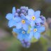 ForgetMeNot Approach (@fmn_app2023) Twitter profile photo