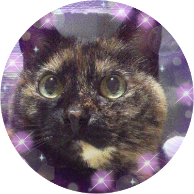 にゃあちゃんさんのプロフィール画像