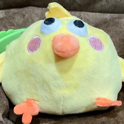 T4_Patさんのプロフィール画像