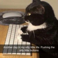 evi (@miraaaaae) 's Twitter Profile