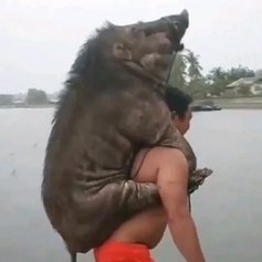 slowflow34's profile picture. 