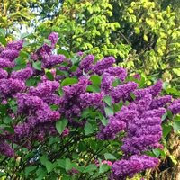 Ania 🦞 (@4nn4km) 's Twitter Profile Photo