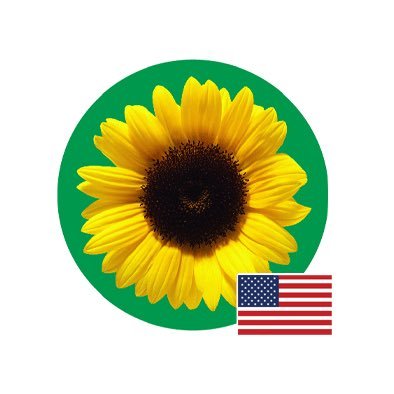 Hidden Disabilities Sunflower - USA