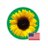 @HDSunflower_US