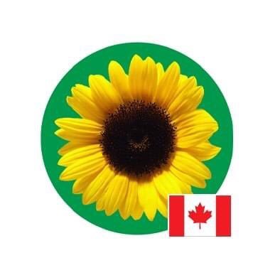 🌻 Wearing the Hidden Disabilities Sunflower discreetly indicates to people around you that you may need additional support, help, or a little more time. 🌻