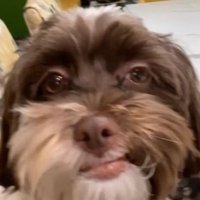 David Jason (@davidja46527009) 's Twitter Profile