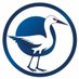 Allez.Racing ! ⚽️ 💙🤍 (@allezracingrcs) Twitter profile photo Allez.Racing ! ⚽️ 💙🤍 (@allezracingrcs) Twitter profile photo