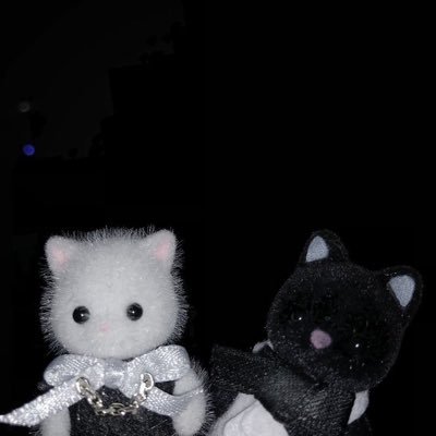 ohimesama___7's profile picture. DMは気まぐれです₍ᐢ.ˬ.ᐢ₎