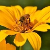 TASKARIAAKTARV3's profile picture. I am digital creator