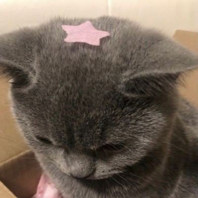melancholyttt's profile picture. desperate