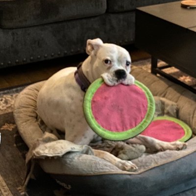 DavidPeter67281's profile picture. 