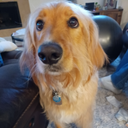 Jenna Crowe - @JCrowe84907 - Twitter